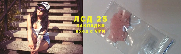 винт Лагань