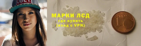 винт Лагань