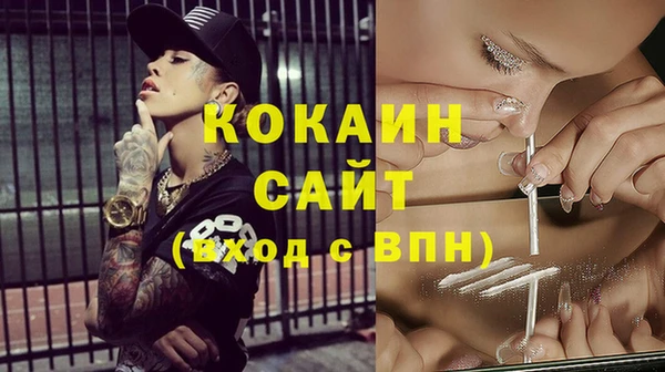 винт Лагань