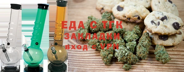 гидра Инта