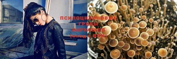 a pvp Кулебаки