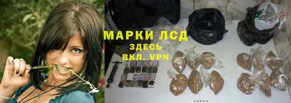 стафф Иннополис
